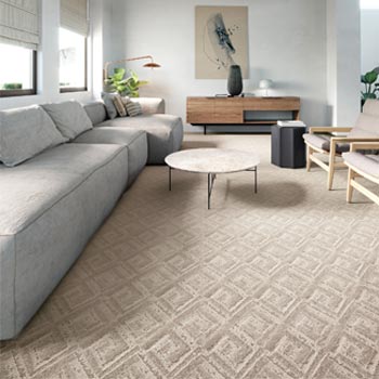 neutral carpet in living room